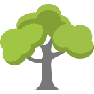 Lubbock Tree Trimming Service